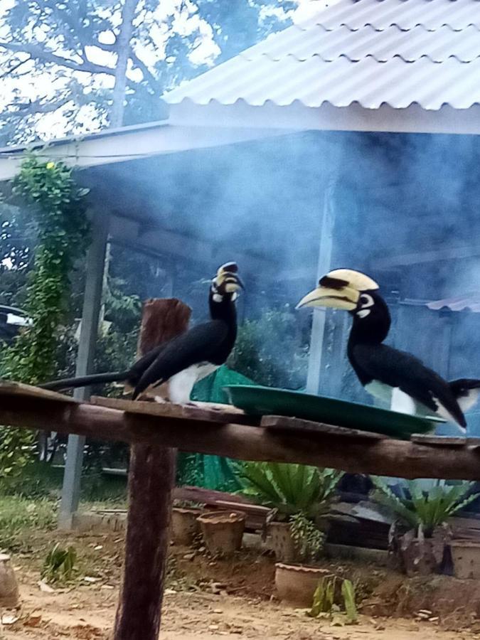 Eco Bungalow Koh Phayam Dış mekan fotoğraf