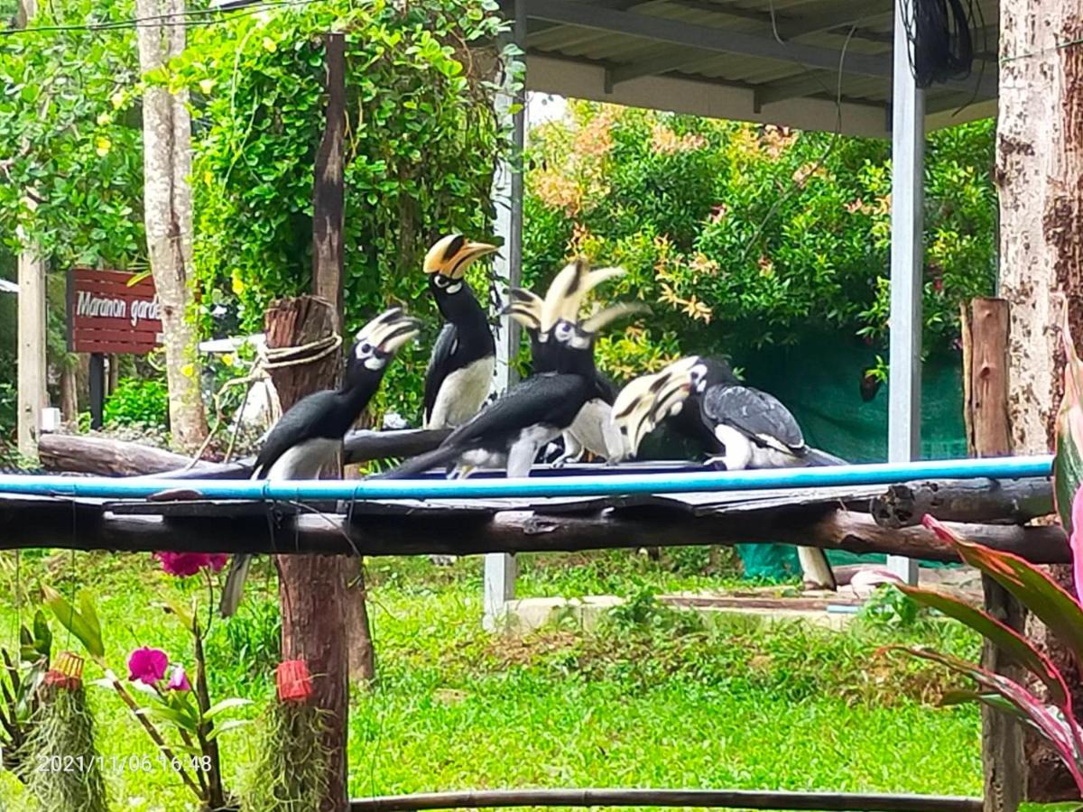 Eco Bungalow Koh Phayam Dış mekan fotoğraf