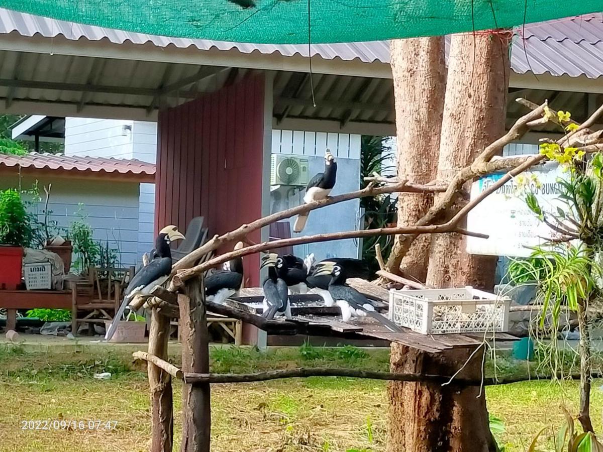 Eco Bungalow Koh Phayam Dış mekan fotoğraf