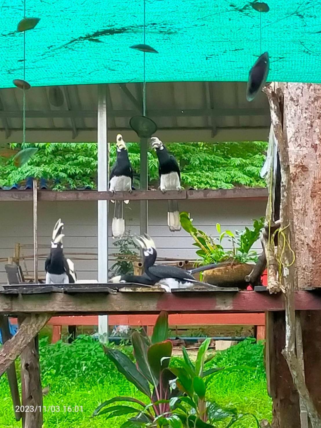 Eco Bungalow Koh Phayam Dış mekan fotoğraf